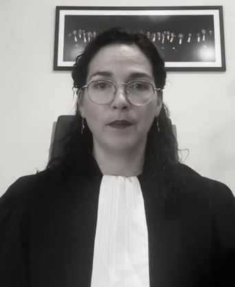 MOBILISATION CONTRE LE PROJET DE REFORME DE LA JUSTICE CRIMINELLE - Le Barreau de l'ESSONNE